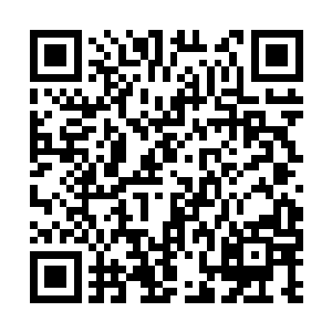 让两人已经没有勇气去询问韩风会哦如何对待白心二维码生成