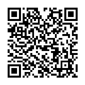 让人仿佛又看到了当年那个正当壮年驰骋沙场的华国公二维码生成