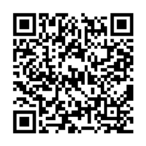 让人毫不怀疑她下一刻就有可能硬生生捏断她脖子二维码生成