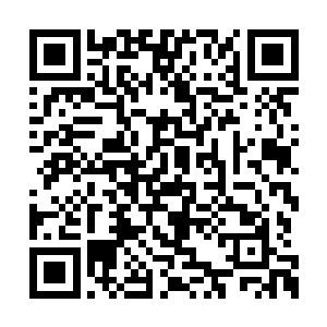 让人类文明在短短瞬间跨越几十万年的进化之路二维码生成