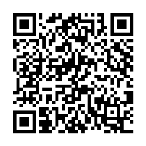 让他不自觉地回想起了当初修罗们没有离开时的情景二维码生成