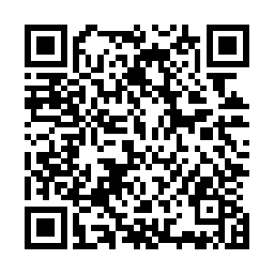 让他与深海异兽搏杀留下来的伤痕也治疗的七七八八了……二维码生成