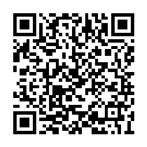 让他们再也回不到以前那种表面上平静的关系了二维码生成