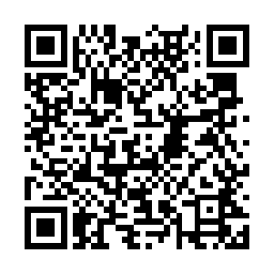 让他们军区派架飞机载着你们三个一起去训练营的二维码生成