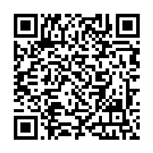 让他们完美体会一番他们曾经加诸在平民身上的痛苦二维码生成