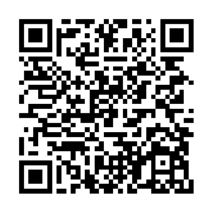 让他们死了这么久之后还硬生生的集体睁眼抗议二维码生成