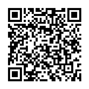 让他们知道自己还与社会主流有着或多或少的联系二维码生成