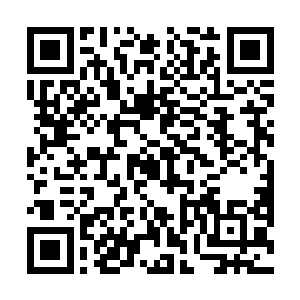 让他恨不得跪下来向他祈祷和膜拜……生不出半点憎恨二维码生成