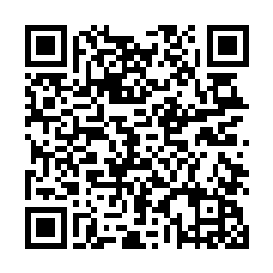 让他想从十三号的脸上看出点儿结果来的可能性都没有二维码生成