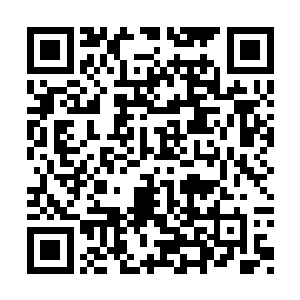 让他所有的思想感情记忆全部都被系统刷新掉吗二维码生成