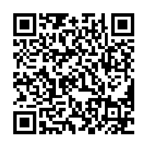 让他看起来就像是一只燃烧着炽烈火焰的恐怖飞禽一样二维码生成