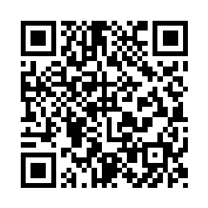 让你和你的主人都记住这个深刻的教训了二维码生成