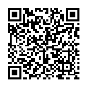 让全美观众和影迷大呼解气的事件在去年被无数次在报端提及二维码生成