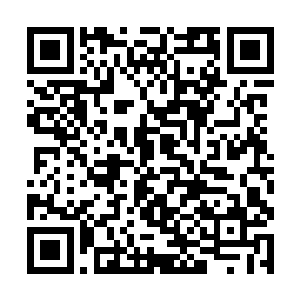 让凌蘭不得不慎重再慎重地考虑基地主操控者的对象二维码生成