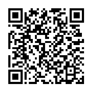 让剑尘可以高正无忧的一路靠吸收魔核内的能量来修炼二维码生成