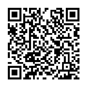 让即使同为男人的他也不得不赞叹着对方的好皮相二维码生成