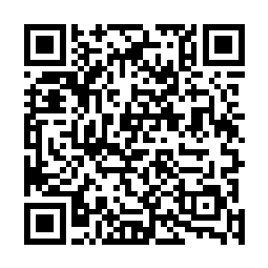 让原本看上去有些飞扬高傲的年轻女子立刻多了几分气势二维码生成