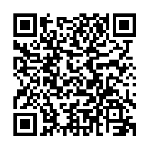 让团体里的一些对秦洛有非份之想的女孩子很是为他打抱不平二维码生成