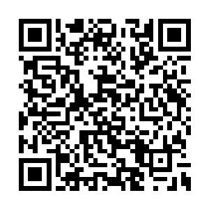 让围观的众人不由自主的将目光凝在了百木鼎上二维码生成