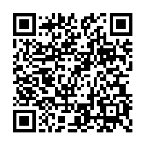 让在出口处等候着接人的凡人们都窃窃私语起来二维码生成