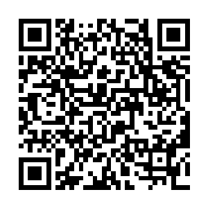 让坐在副驾驶上的老婆用自己手机给边学道打个电话二维码生成