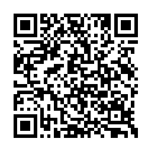 让夏洛克燕全方位地审查了一下自己的最新造型二维码生成