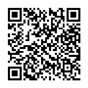 让大家看到我这个挑衅古族的人是怎么凄惨的对吗二维码生成