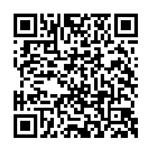 让大家羡慕妒忌恨的不是小马哥有可能应聘成功二维码生成