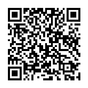 让大量的人尊期一下的海族顷刻之前就变成了碎片二维码生成