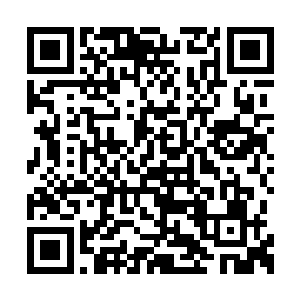 让女生适应一下见见血不会在临战时怯场就够了二维码生成