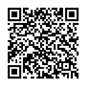 让她从小就将隐匿心事的本领练就的炉火纯青了二维码生成