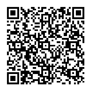 让她想到自己银行卡里只有三千多美元而这一次机会以后天知道何时才有下一个角色二维码生成