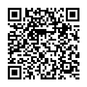 让她紧张的不仅仅是那个女人所掌控的权势以及富可敌国的财富二维码生成