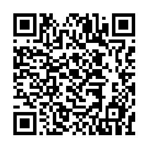让它们历经万古也未彻底融合……何暮心神摇动二维码生成