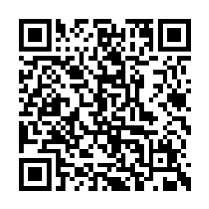 让它们永存在这里输送着一代又一代的修行者吧二维码生成