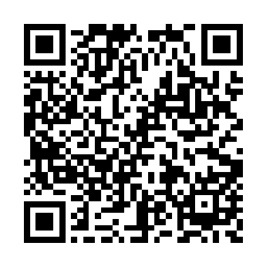 让它开始教习我如何掌控它的煞气为己所用之法二维码生成