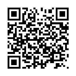 让小黑小金这两个倒霉蛋在车队附近巡逻预警二维码生成