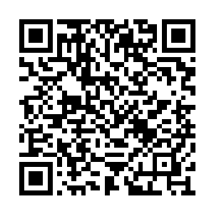 让底下聚集在一处的食骨部族人们一阵哗乱逃窜二维码生成