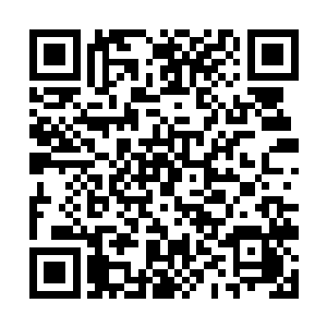 让张萧晗浸在水里的手仿佛是在浸在了液态的灵气里二维码生成