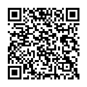 让徐公多邀请几家交好的洞天福地可以做主之人二维码生成