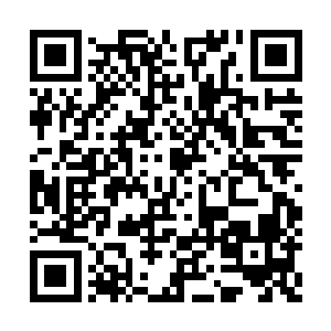 让得没有做好心里准备的玄学界人都颤抖了几下二维码生成