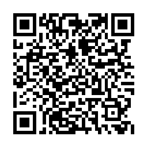 让得铁熊和孤狼都魂穿成了一个嗷嗷待哺的婴儿二维码生成