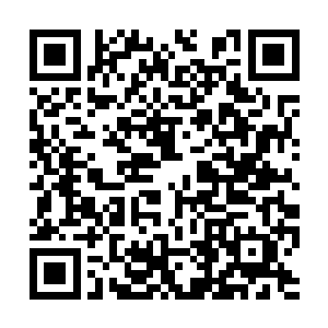 让情绪激动的父母依靠……一种从未有过的踏实感二维码生成