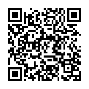 让我不要影响到这个跟自己无关的世界中发生的事情二维码生成