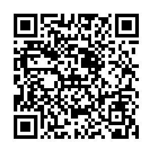 让我只感有阴冷的气息顺着那小孩的手传遍了我的全身二维码生成