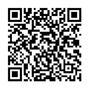 让我整个人瞬间对舞娘的经历有了一部分足够的了解二维码生成