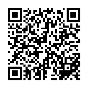 让我消化一下珍妮弗刚才的陈述――信息量有些大二维码生成