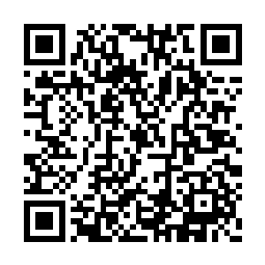 让我窥视到了一些隐藏在这个游乐园当中的秘密二维码生成