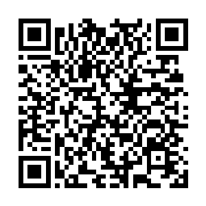 让所有正在攻击的化神境修士全都给白光笼罩住了二维码生成