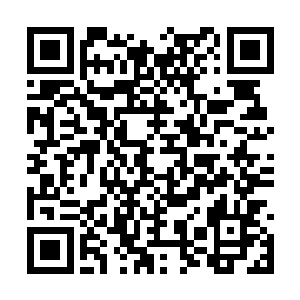 让所有进出方舟岛的人都彻底暴露内心深处的秘密二维码生成